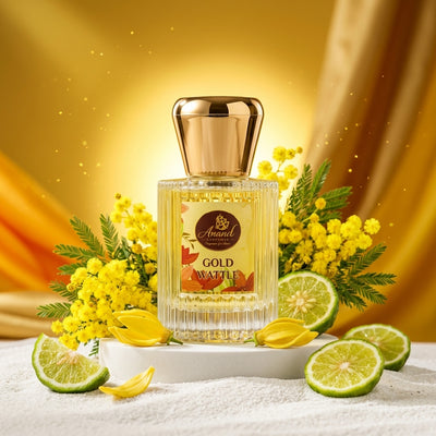 Gold Wattle
