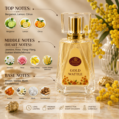 Gold Wattle